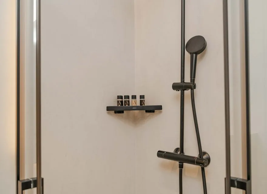 Espacio representativo del hotel: Zona de ducha con ducha de mano en la pared y artículos de aseo en un estante.