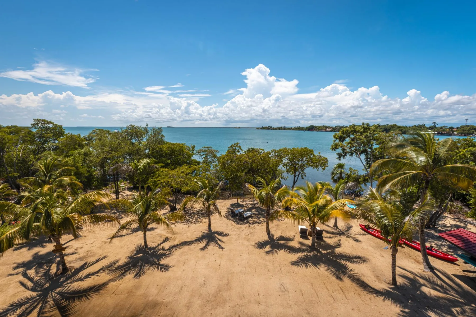Una playa de arena bordeada de palmeras da a aguas azules y tranquilas.