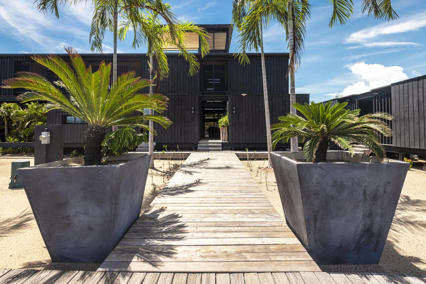 Un edificio moderno oscuro se alza al final de un sendero de madera flanqueado por palmeras.