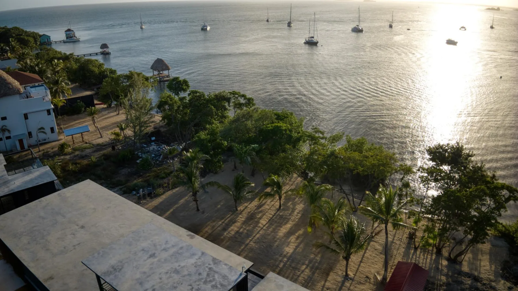 Vista aérea de una costa con barcos fondeados y árboles junto al agua.