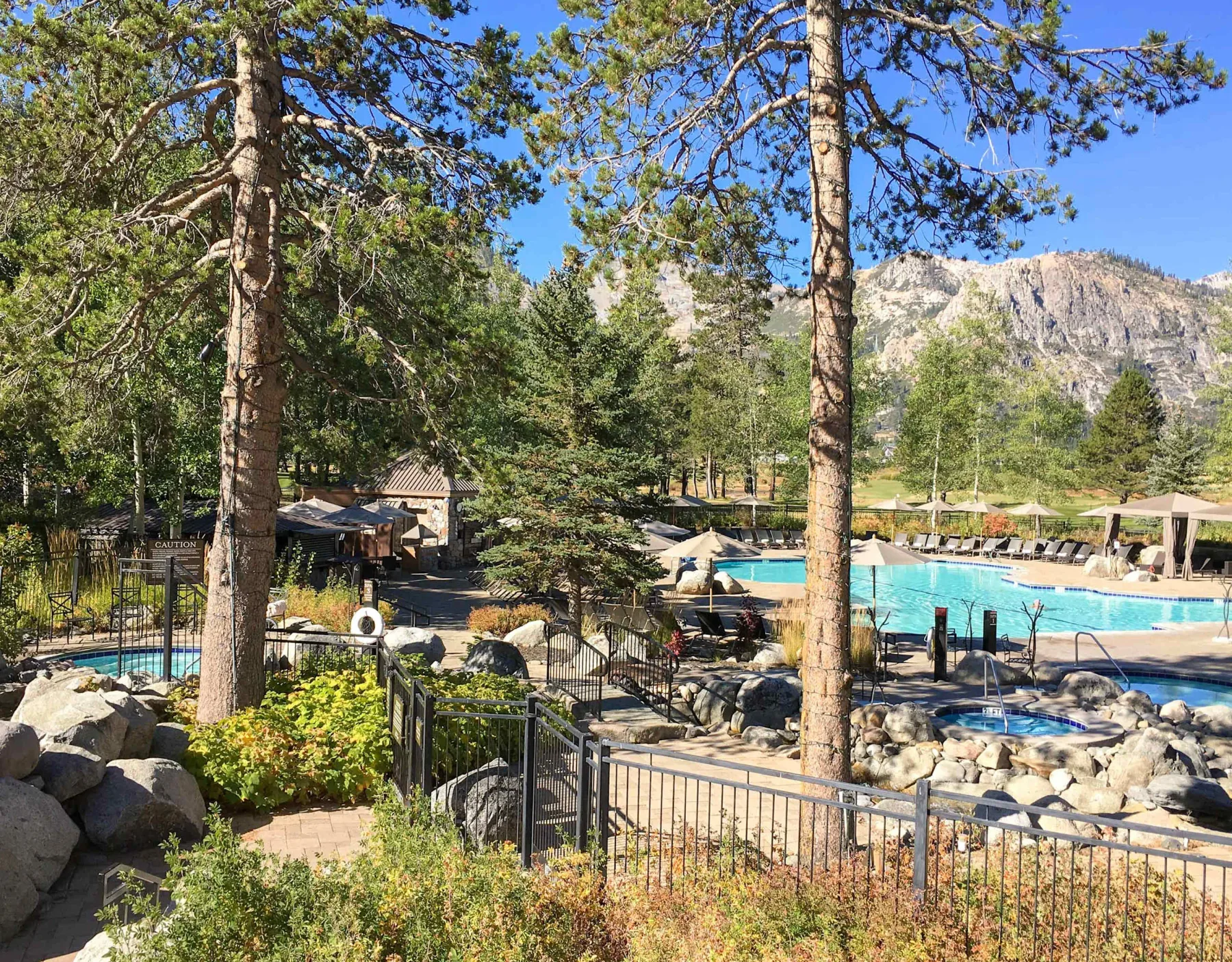 Shared amenity: Outdoor pool area surrounded by trees and mountain scenery.