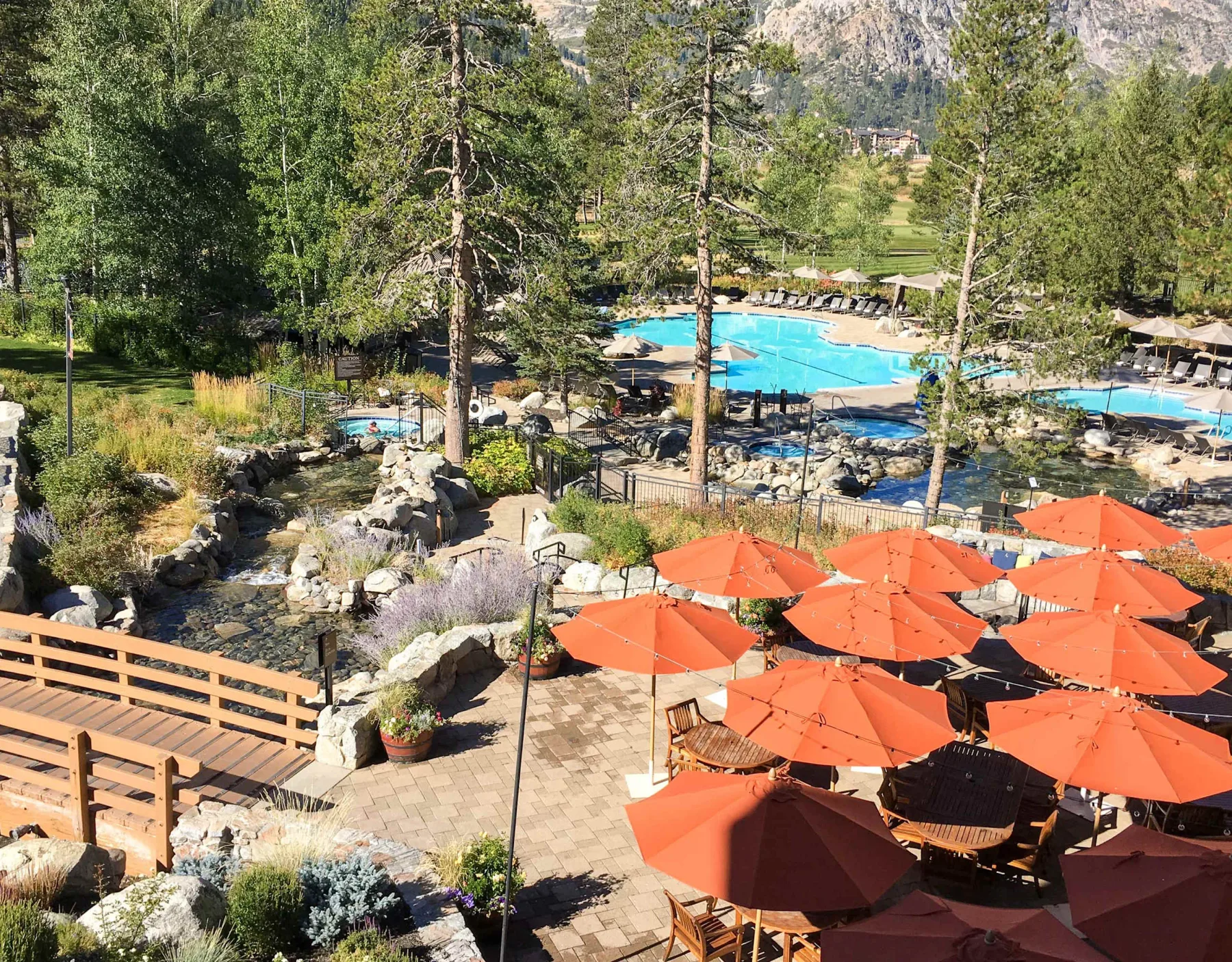Shared amenity: Outdoor pool and patio seating with orange umbrellas, surrounded by trees.