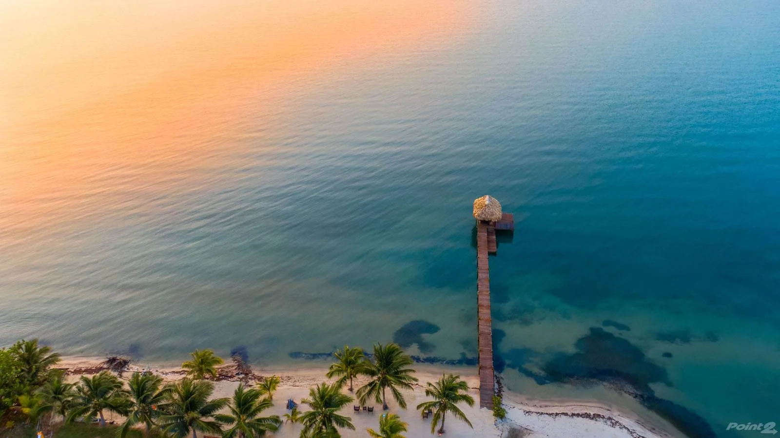 Aerial view of a palm-lined beach and calm water at sunset.