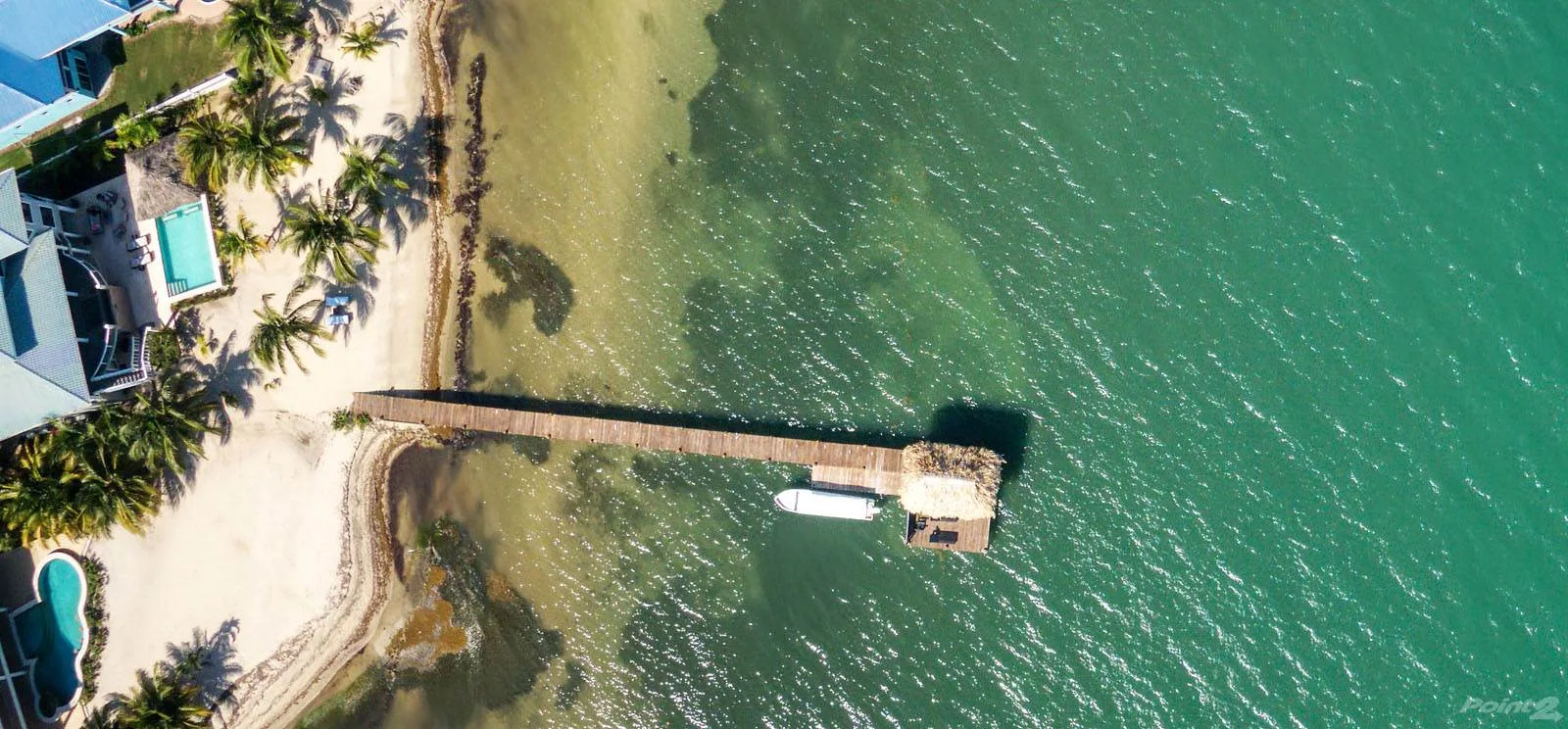 Aerial view of a palm-lined beach and a wooden pier extending into the water.