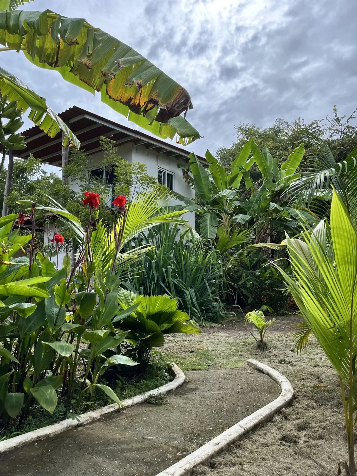 Representative hotel space: A garden path winds through lush tropical plants beside a building.