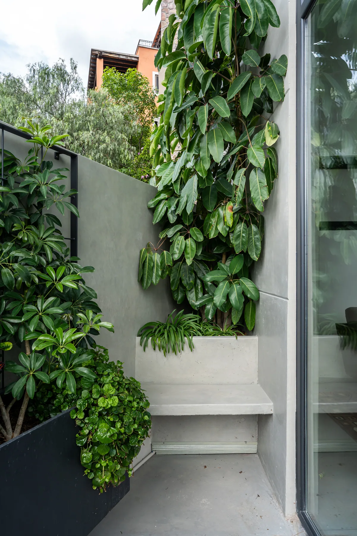 A small outdoor patio with a built-in bench surrounded by leafy plants.