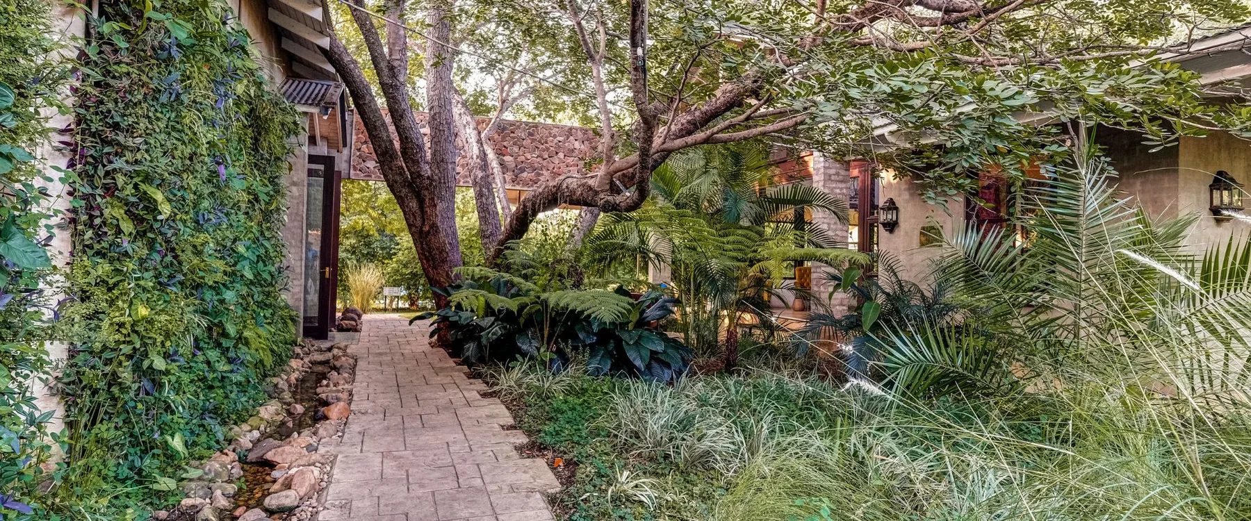 Espacio representativo del hotel: Un sendero de jardín atraviesa la vegetación junto a un edificio.