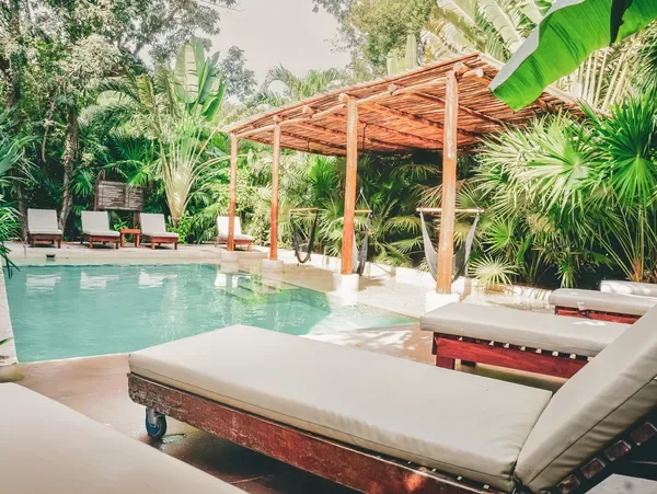 Representative hotel space: A swimming pool surrounded by lounge seating and tropical greenery.