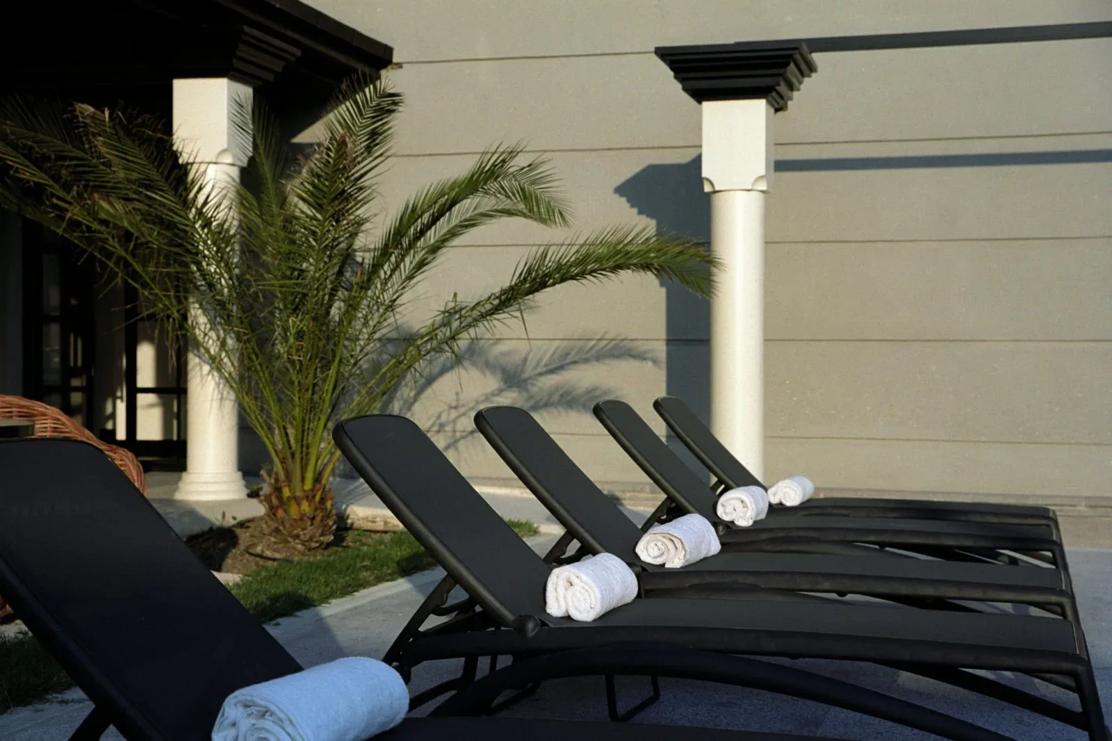 Representative hotel space: Outdoor poolside seating with towels beside a palm tree.
