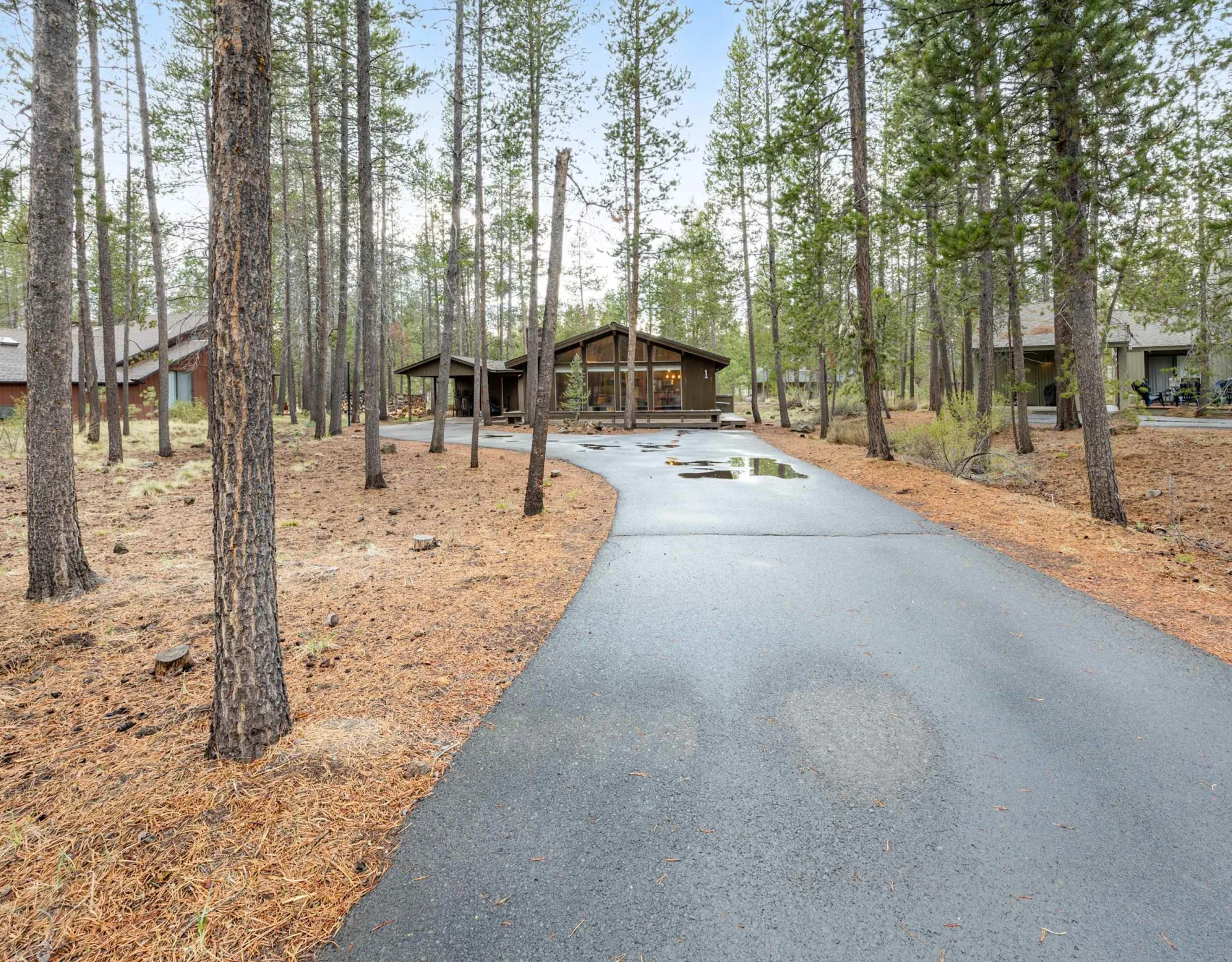 Shared amenity: A paved road winds through a pine-wooded setting toward a low building.