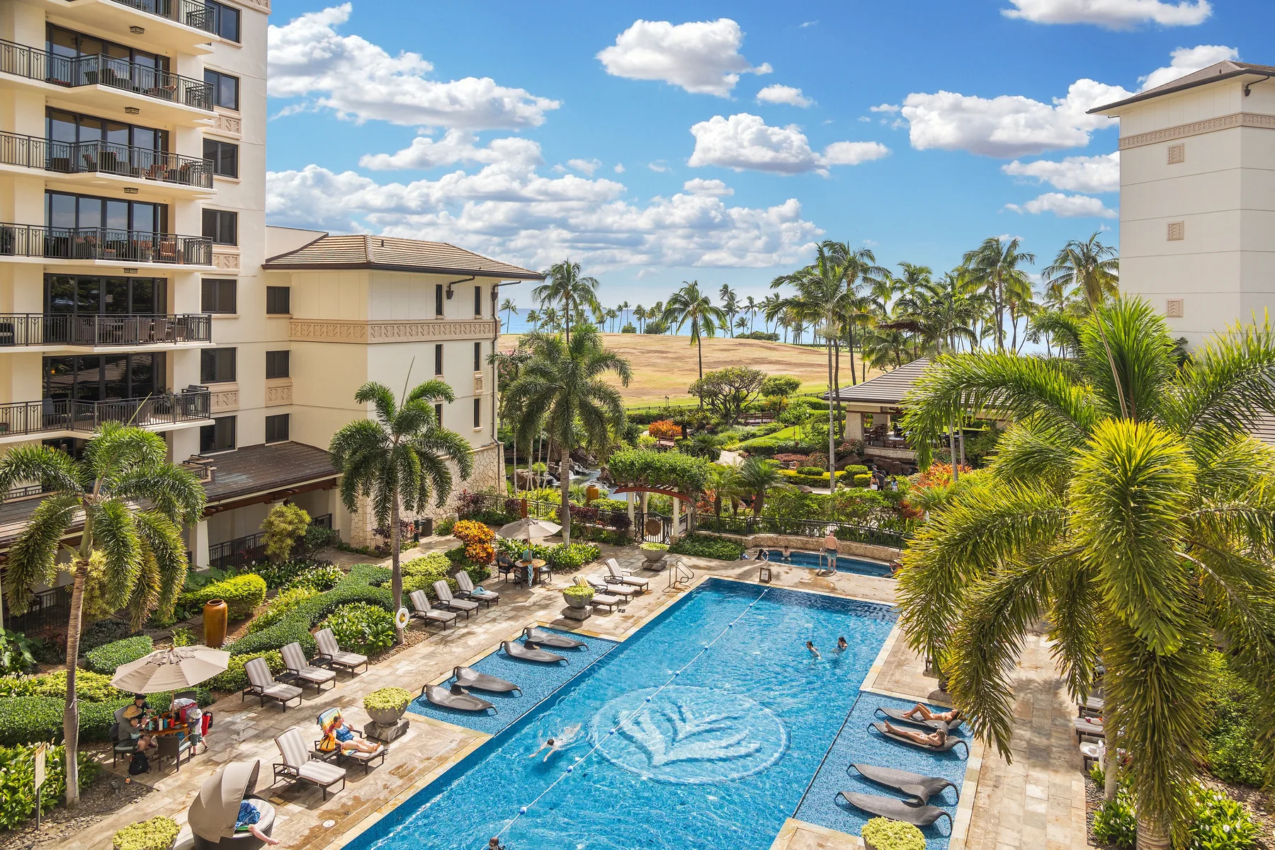 Shared amenity: A landscaped pool area with lounge seating between buildings.