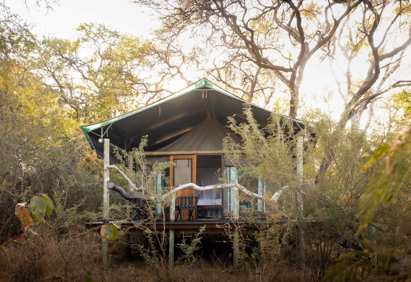 Espacio representativo del hotel: Una cabaña de lona elevada con un pequeño porche está entre árboles y matorrales.