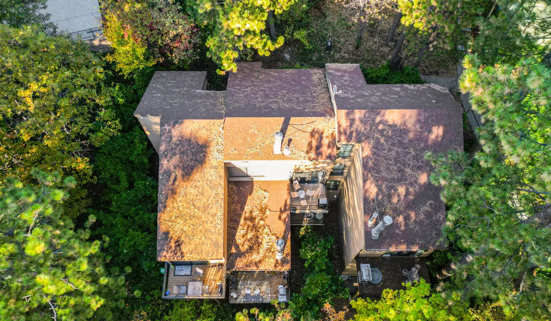 Aerial view of a house surrounded by dense trees and greenery.