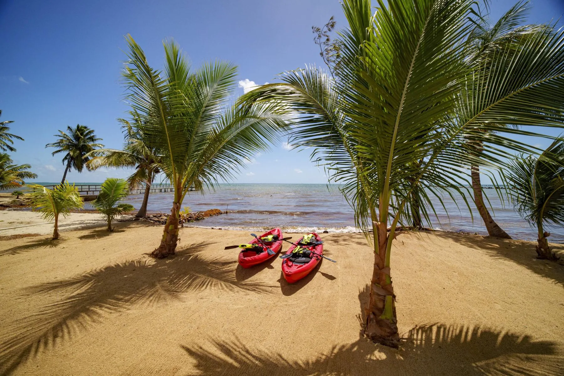 A sandy beach lined with palm trees overlooks the sea, with two kayaks on shore.