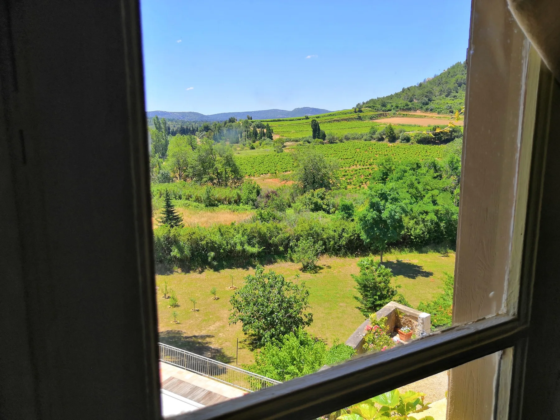 Espacio representativo del hotel: Una vista desde una ventana muestra campos verdes y colinas arboladas.