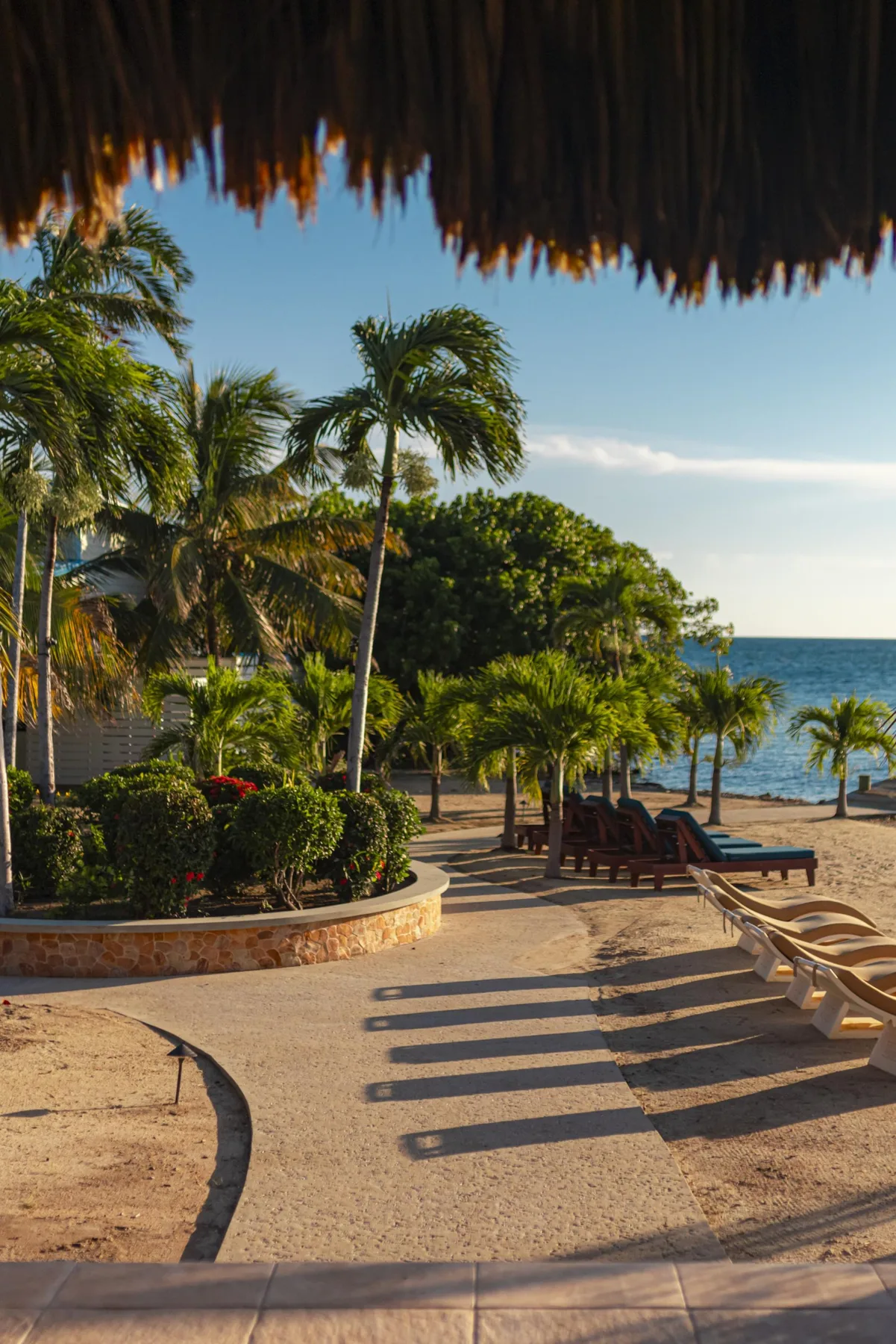 Beachside patio with palm trees and lounge seating beside the ocean.
