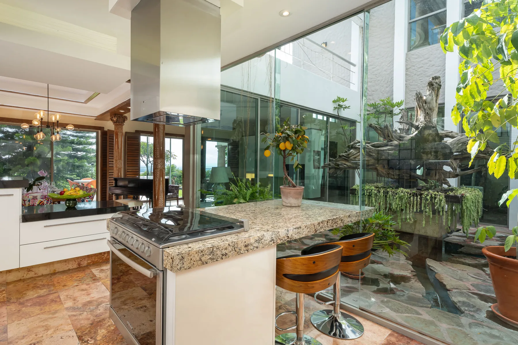A bright modern kitchen opens onto a glass-walled indoor garden with plants and seating.