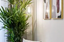 A bedroom corner with a leafy plant beside the bed and framed artwork.