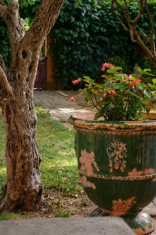 Espacio representativo del hotel: Jardín con una maceta grande de plantas con flores junto a un árbol.