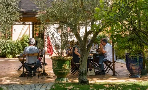 Espacio representativo del hotel: Zona de comedor al aire libre con personas sentadas a mesas entre árboles y plantas en macetas.