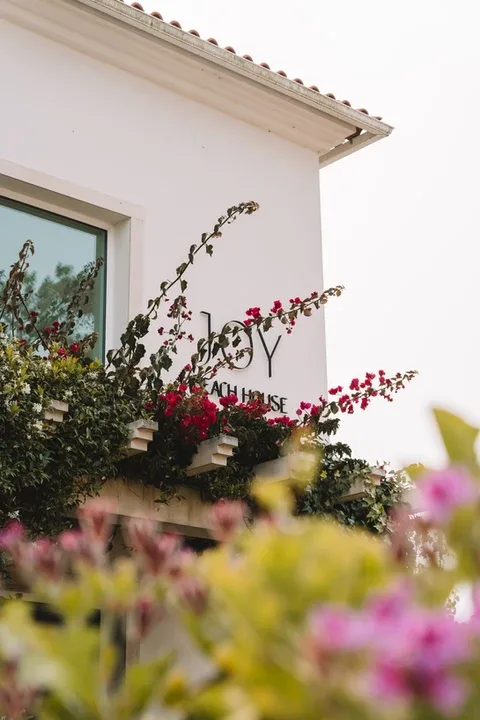 Espacio representativo del hotel: Una fachada blanca con una ventana y enredaderas en flor.