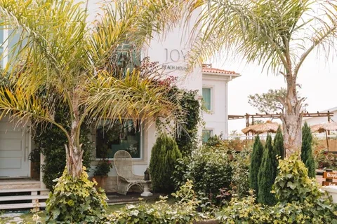 Espacio representativo del hotel: Un patio ajardinado con palmeras, arbustos y asientos junto a un edificio.