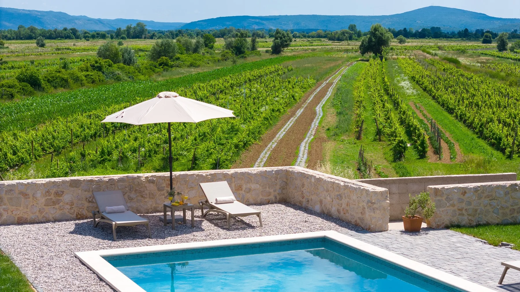 Una piscina y un patio miran hacia hileras de viñedos verdes y colinas lejanas.