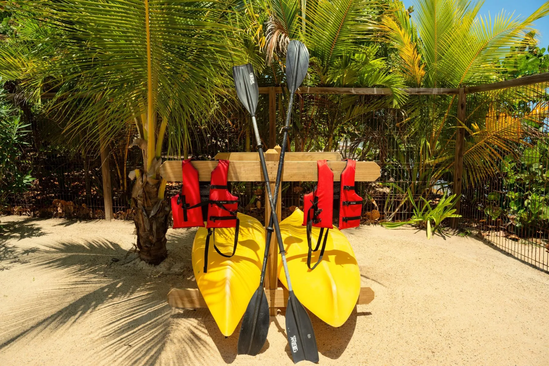 Kayaks and life jackets rest on a sandy beach beneath palm trees.