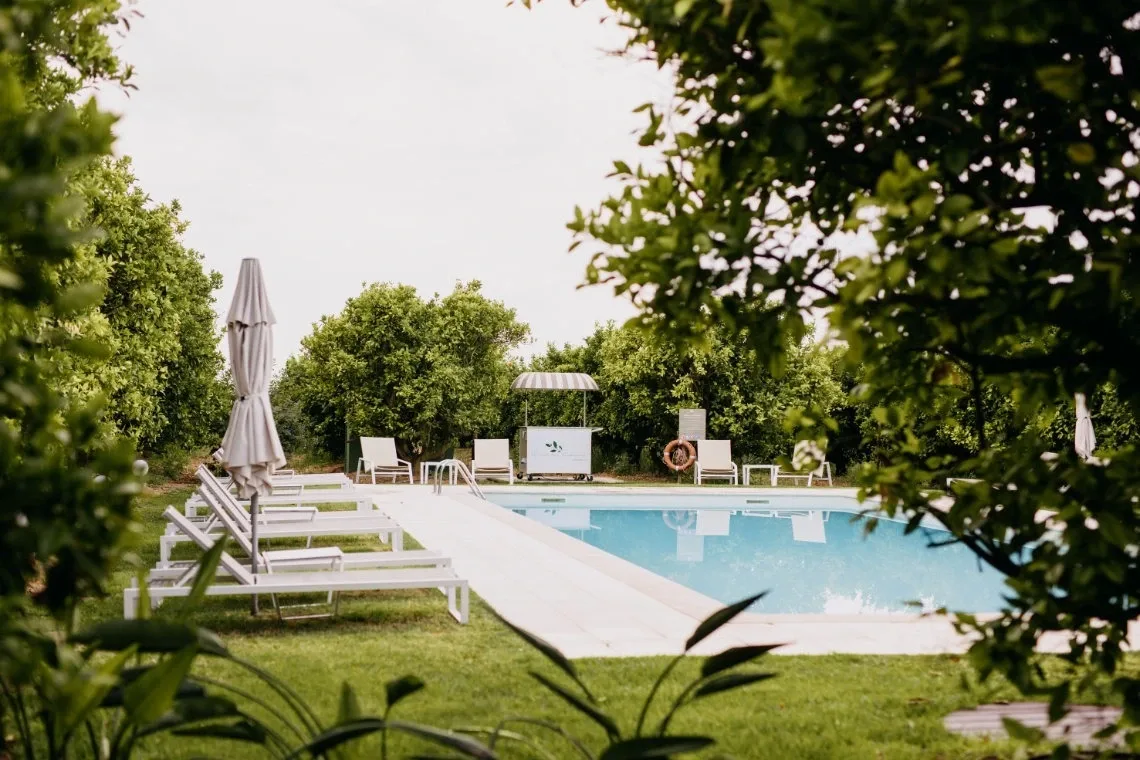 Representative hotel space: An outdoor swimming pool bordered by lounge seating and greenery.