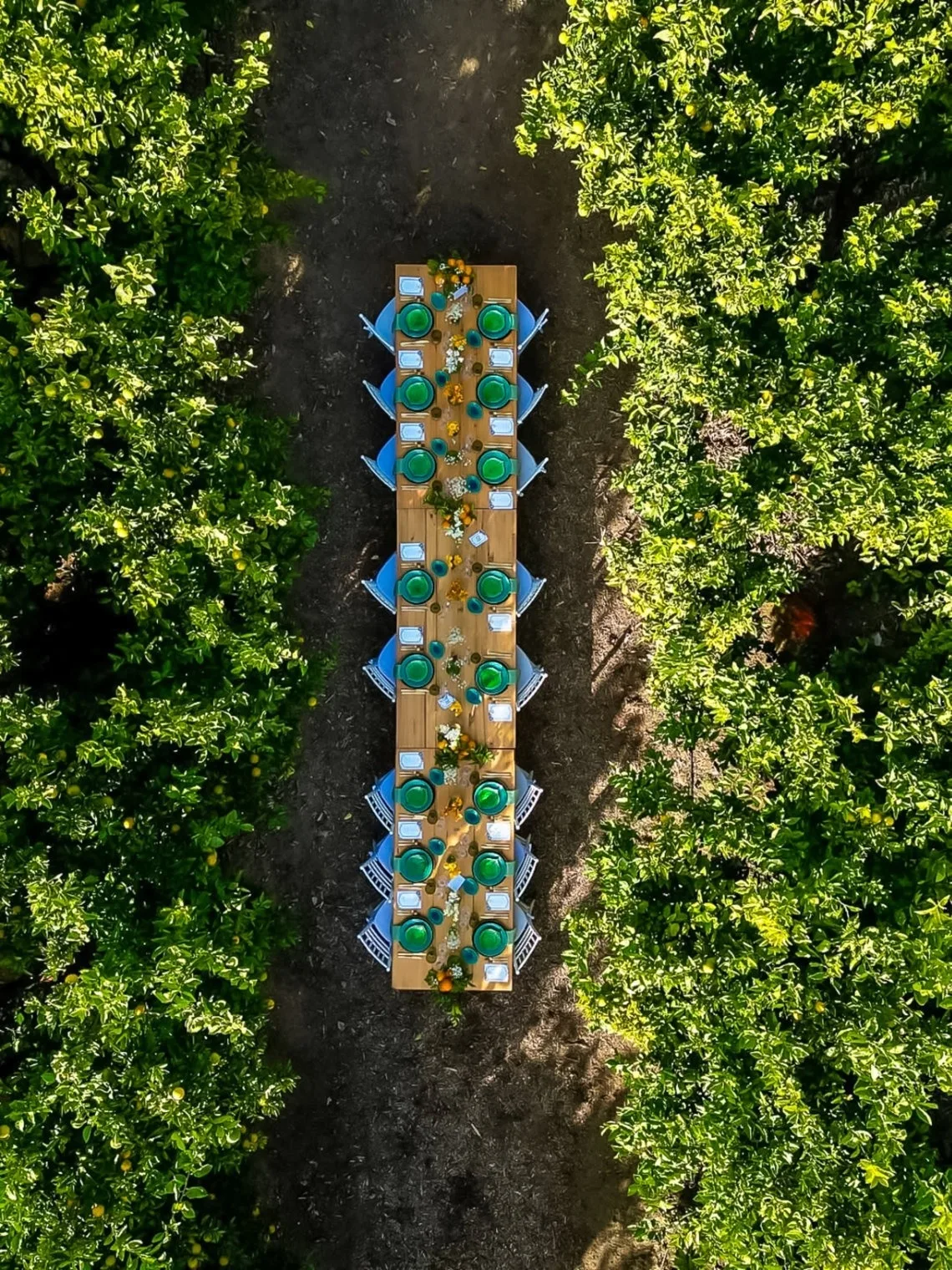 Representative hotel space: An outdoor dining table is set along a shaded path amid dense greenery.