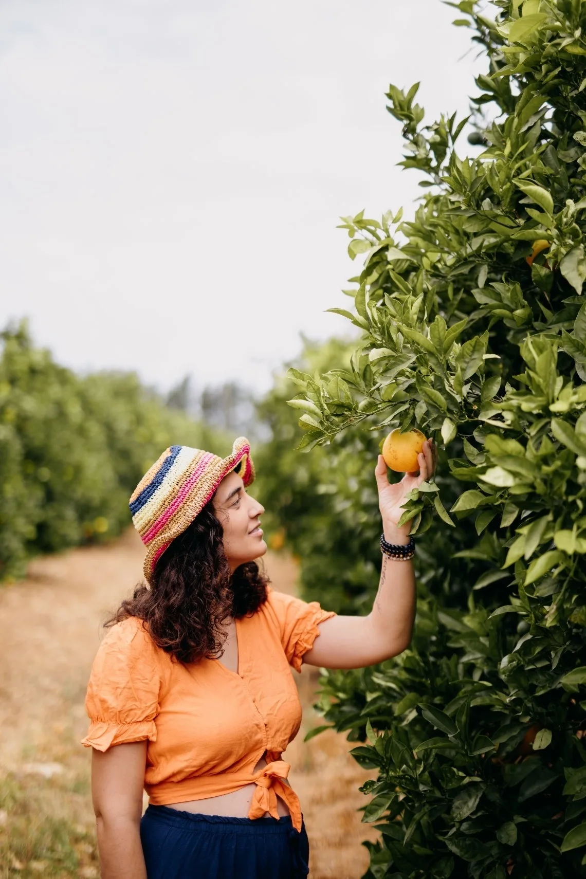 Representative hotel space: A woman in an orchard reaches up to pick an orange from a tree.