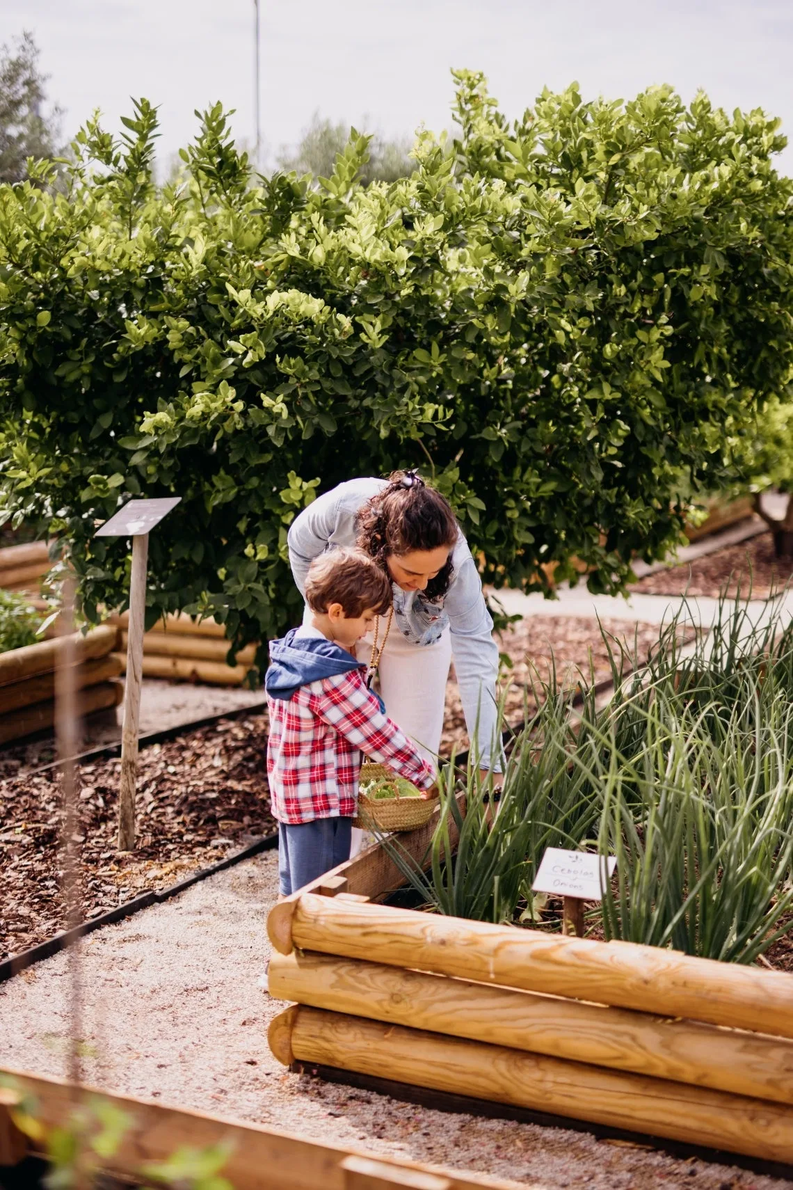 Representative hotel space: A woman and child tend plants in a raised garden bed.