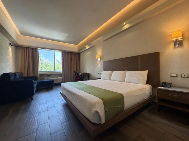 Representative hotel space: Hotel bedroom with a large bed, dark seating, and a window.