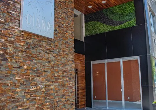 Representative hotel space: Hotel entrance with a stone-textured wall and glass doors.