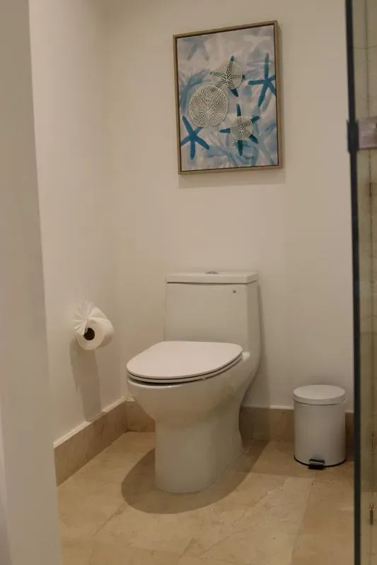 A bathroom with a white toilet, a small waste bin, and framed blue artwork on the wall.