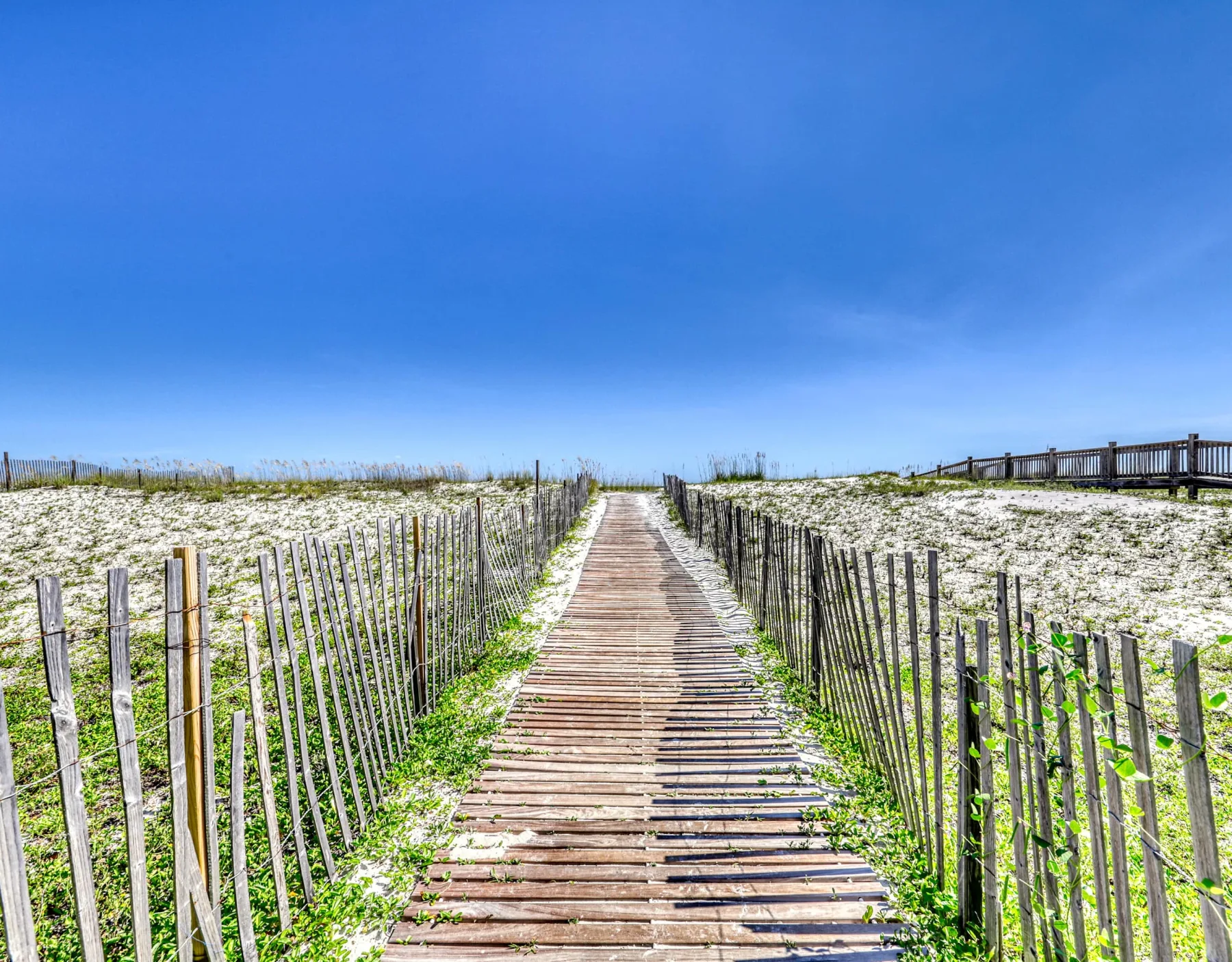 Shared amenity: A wooden walkway crosses grassy sand dunes beneath a clear blue sky.