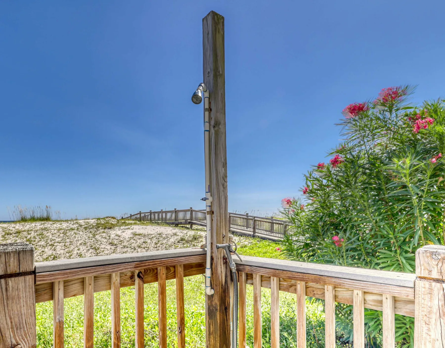 Shared amenity: An outdoor wooden deck overlooks grassy dunes and flowering plants.