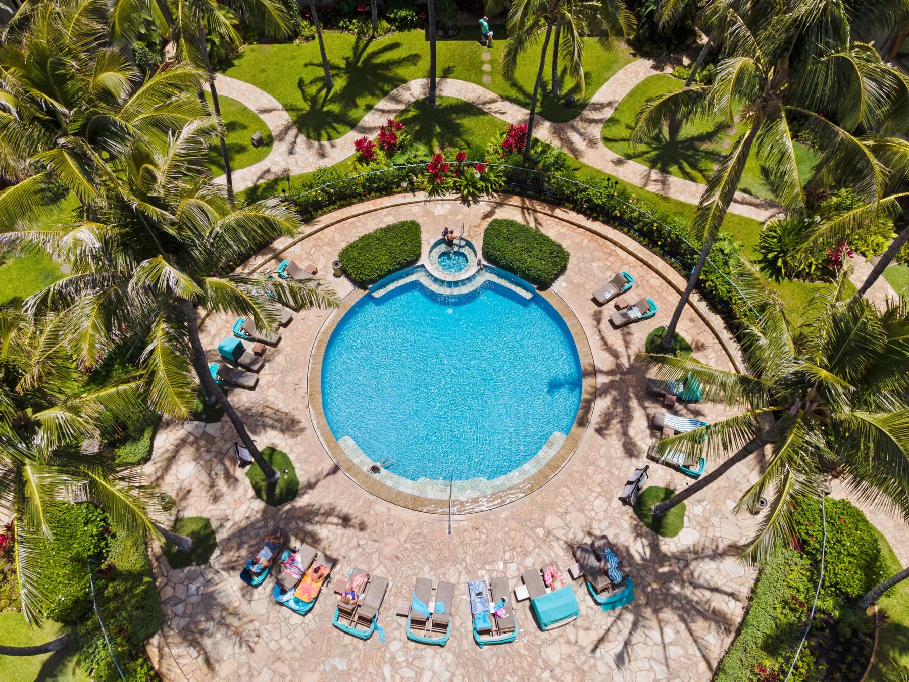 Zona común: Una piscina rodeada de palmeras y tumbonas.