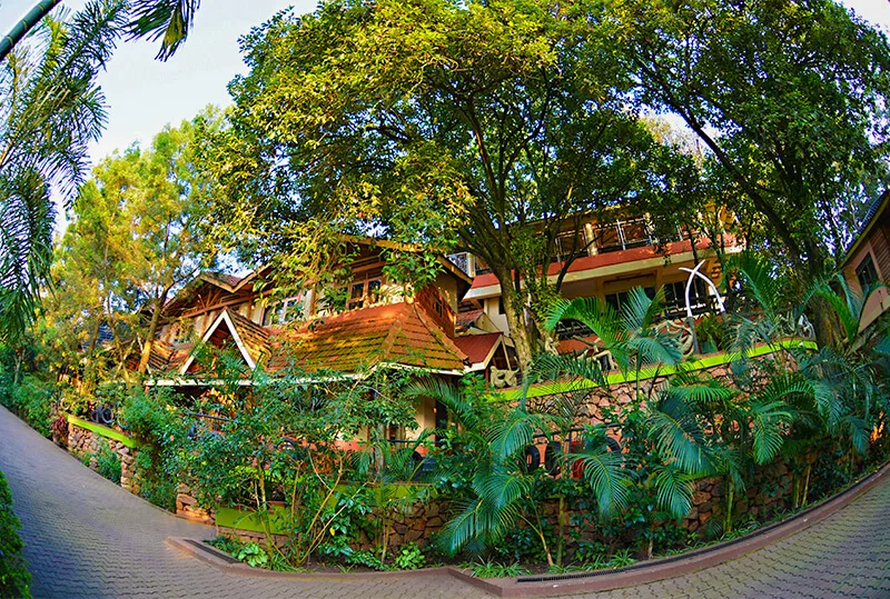 Espacio representativo del hotel: Un sendero exterior rodea jardines frondosos junto a un edificio.