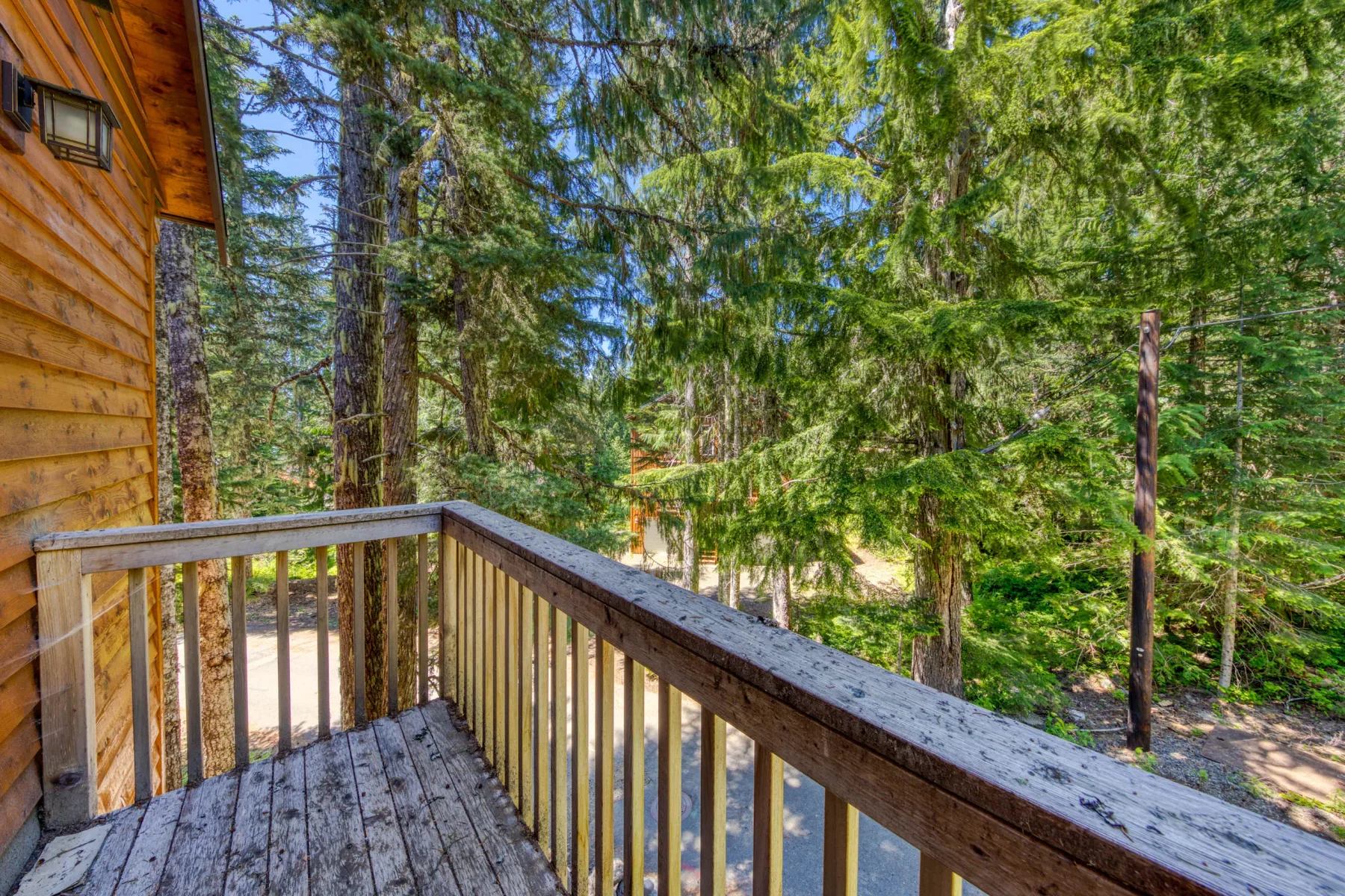 A wooden deck overlooks a forest of tall evergreen trees.