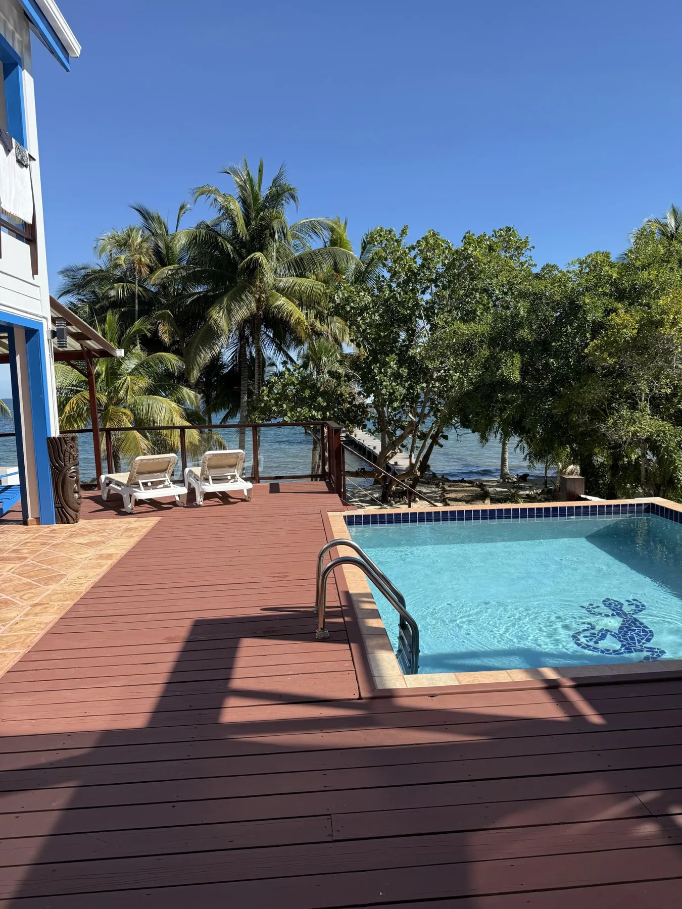 Una piscina al aire libre y una terraza de madera dan a una orilla arbolada.