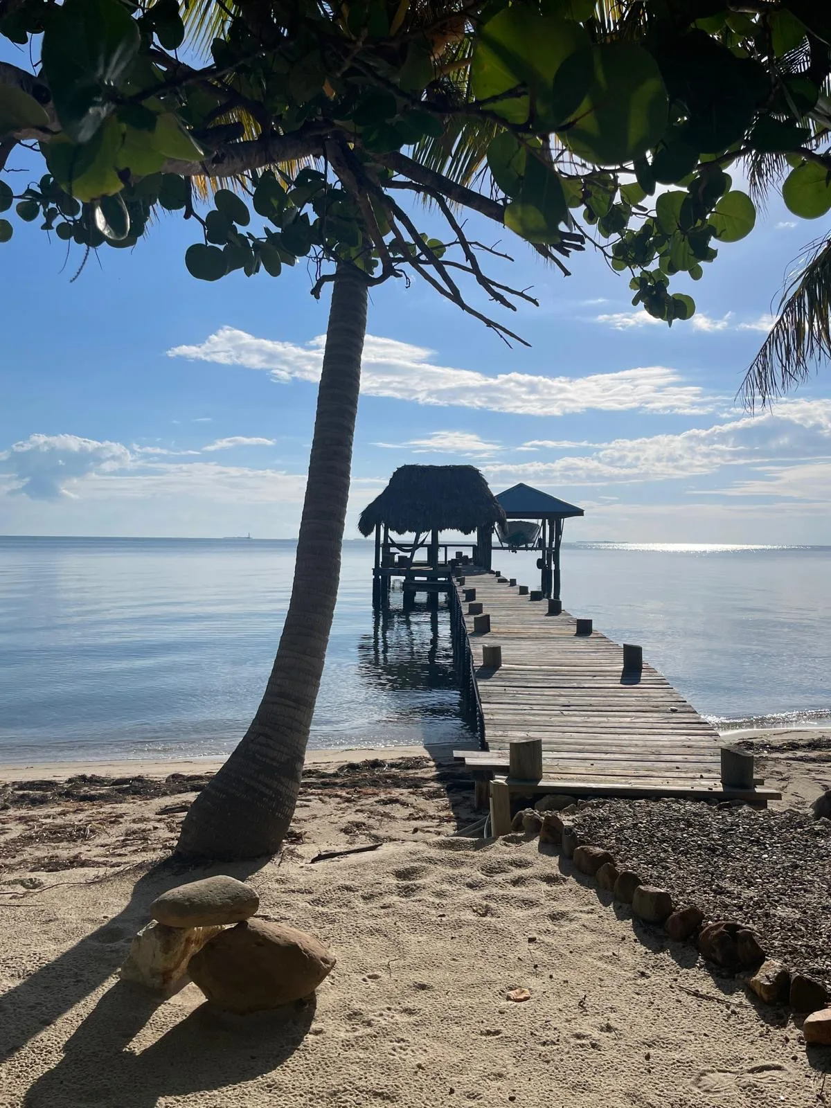 A wooden pier extends from a sandy beach over calm water beneath a leafy tree.