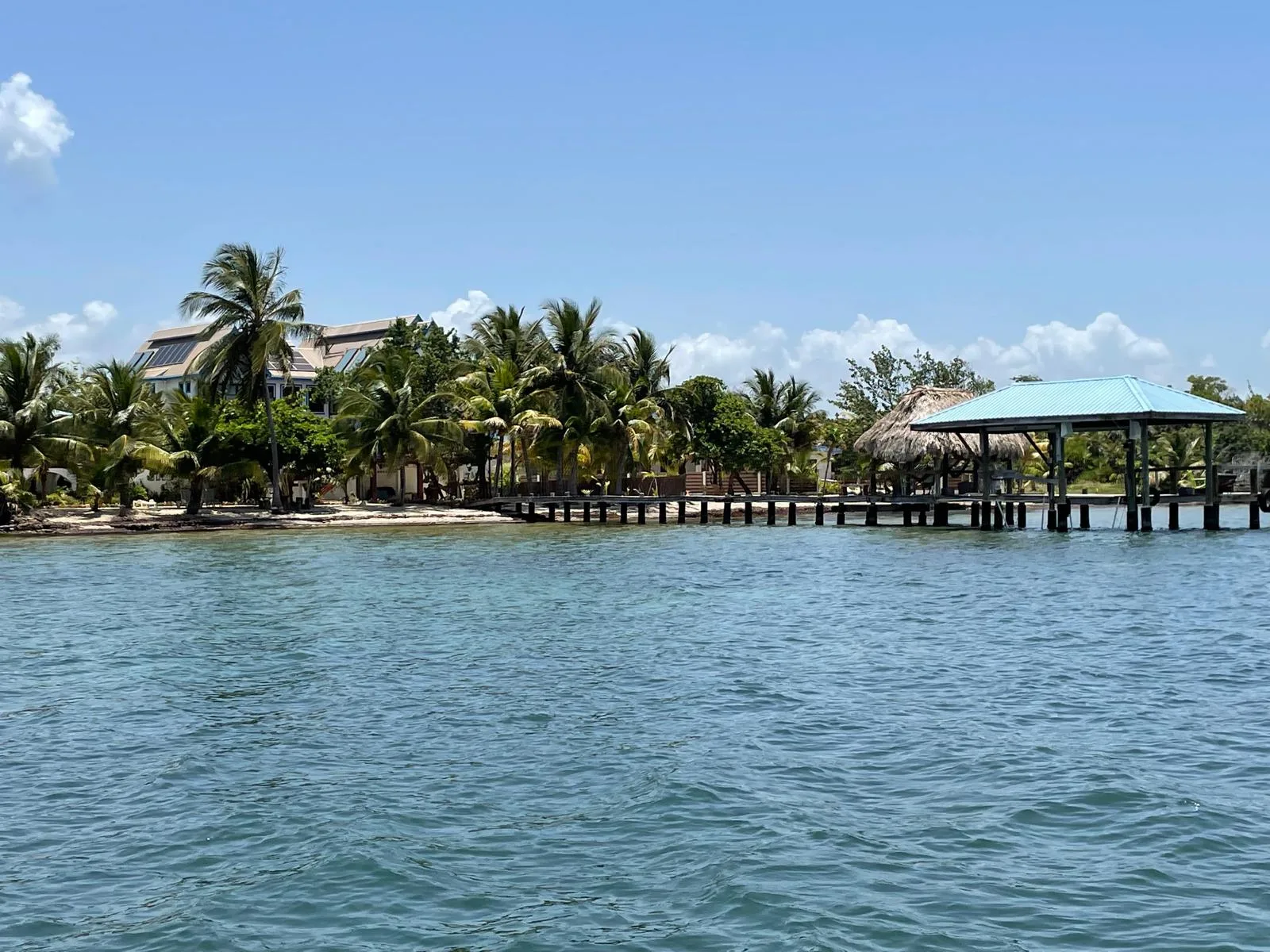 Un paisaje tropical junto al agua con palmeras, un muelle de madera y un pabellón techado.