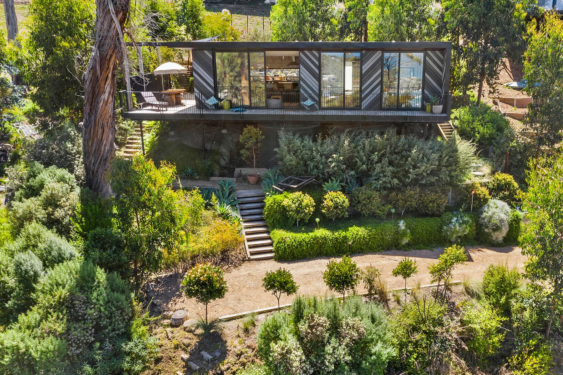 Una casa moderna con frente de vidrio se encuentra entre árboles sobre un jardín paisajístico.