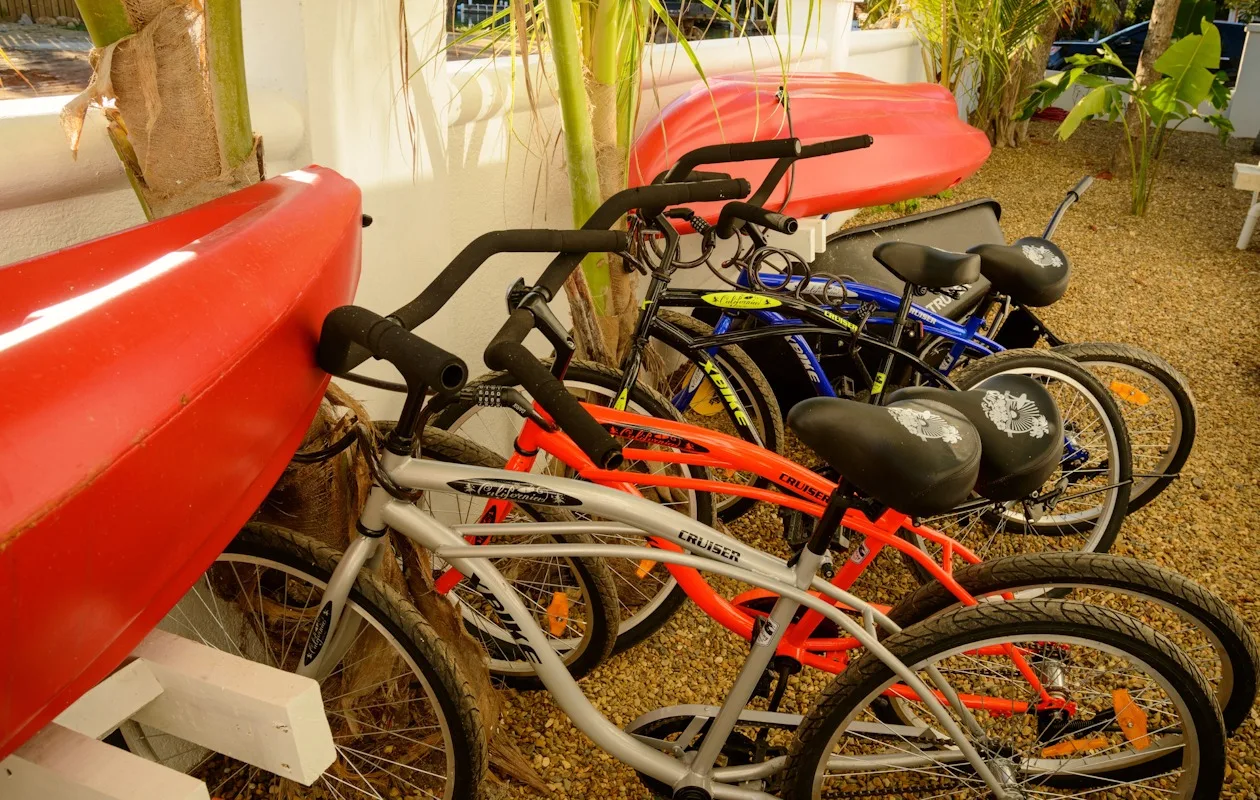 Zona común: Hay bicicletas aparcadas bajo kayaks rojos en una zona exterior con plantas.
