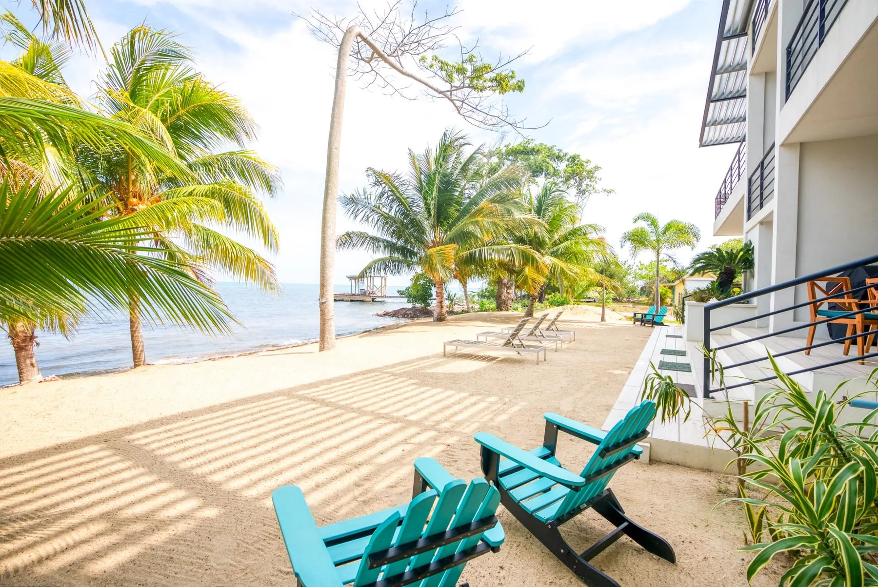 Zona común: Un patio arenoso junto a la playa, con tumbonas y palmeras al lado del agua.