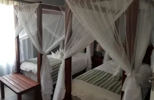Espacio representativo del hotel: Un dormitorio con camas cubiertas con telas blancas translúcidas.