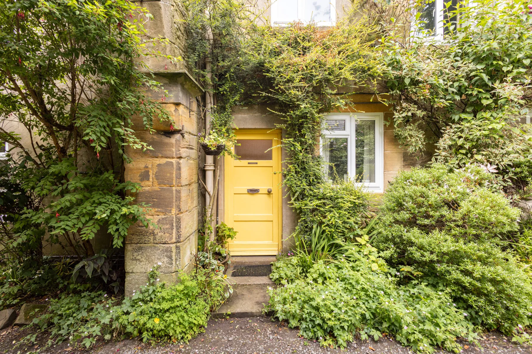 Shared amenity: A yellow entrance door sits amid dense greenery beside a window.