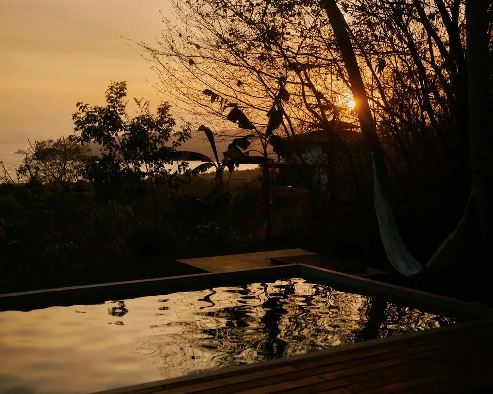 A reflecting pool catches the sunset beneath silhouetted trees.