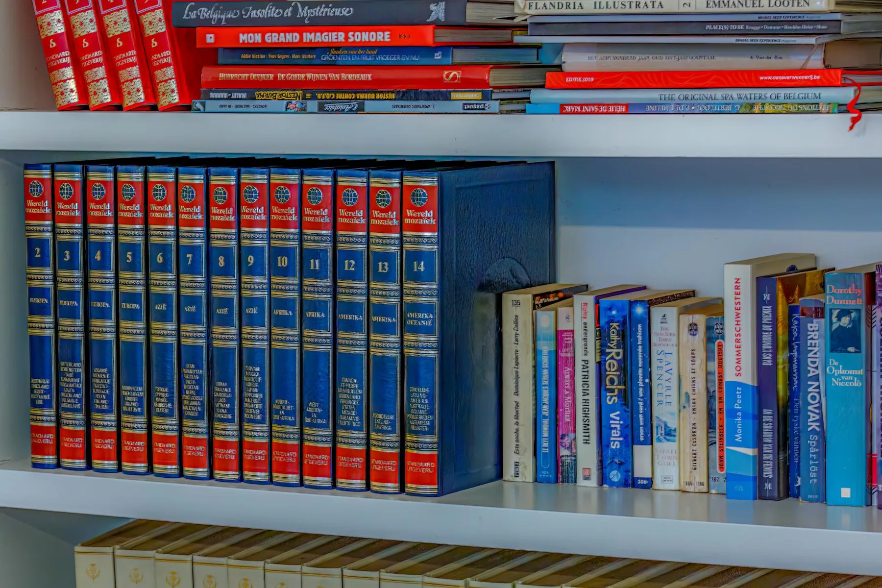 Espacio representativo del hotel: Una estantería llena de filas de libros.